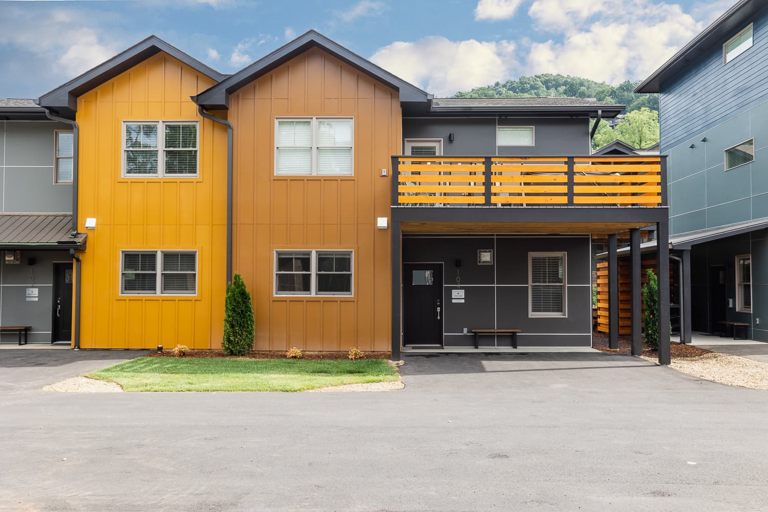 Little Sadie - Image 5