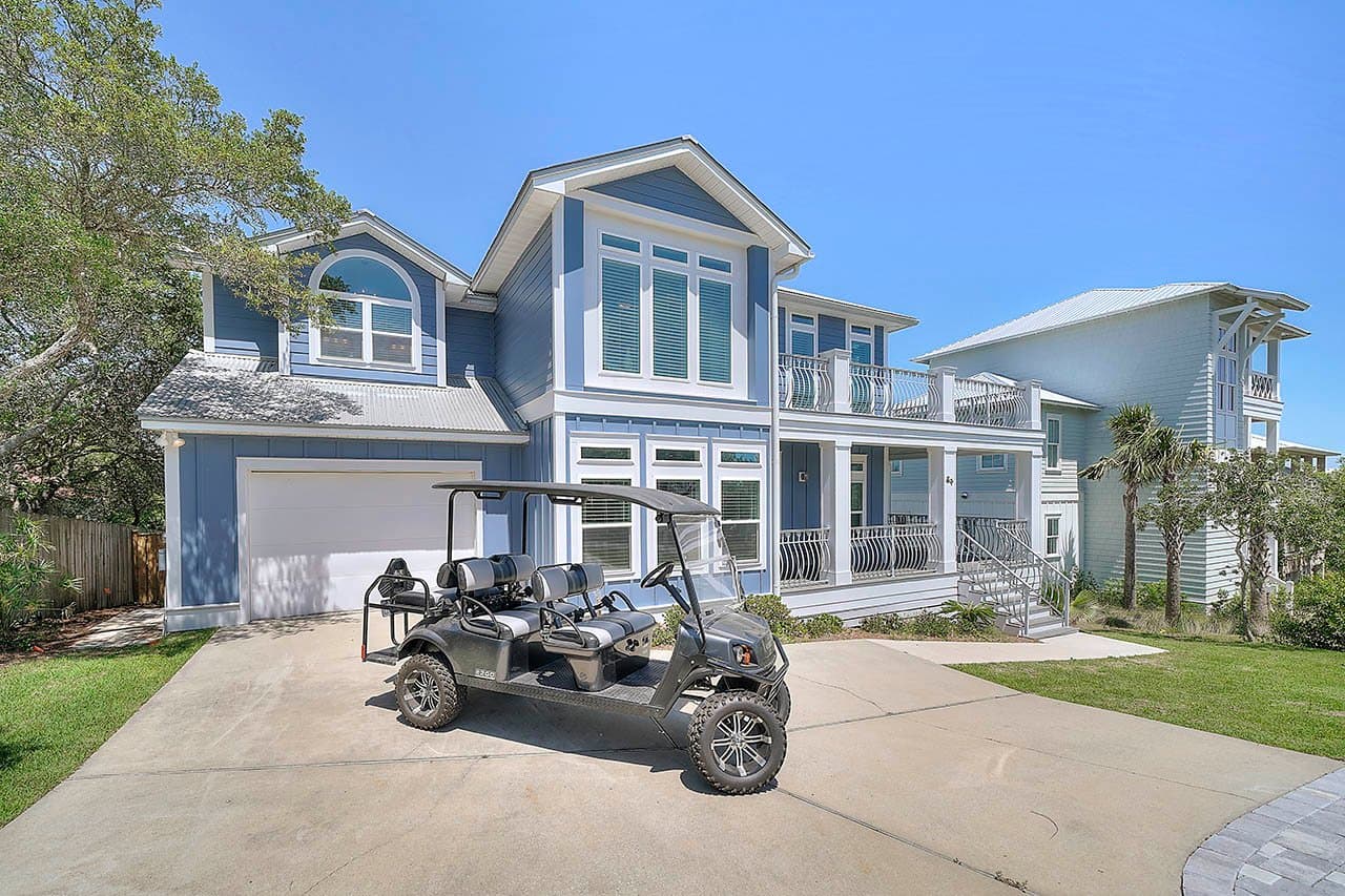 Lizard Palms - Image 33