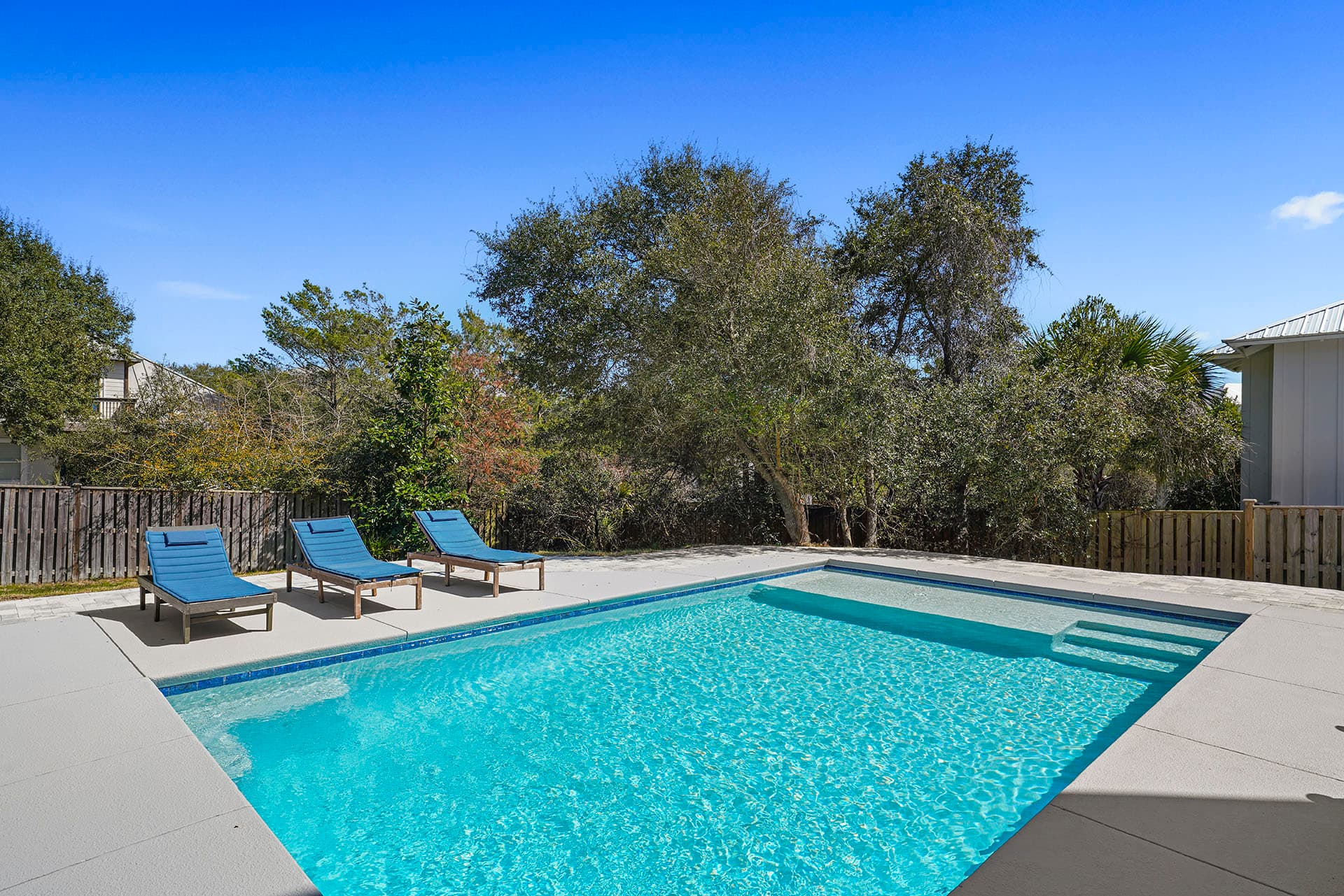 Lizard Palms - Image 2