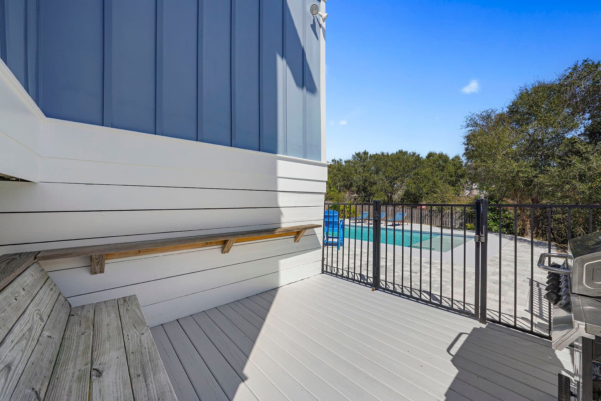 Lizard Palms - Image 7