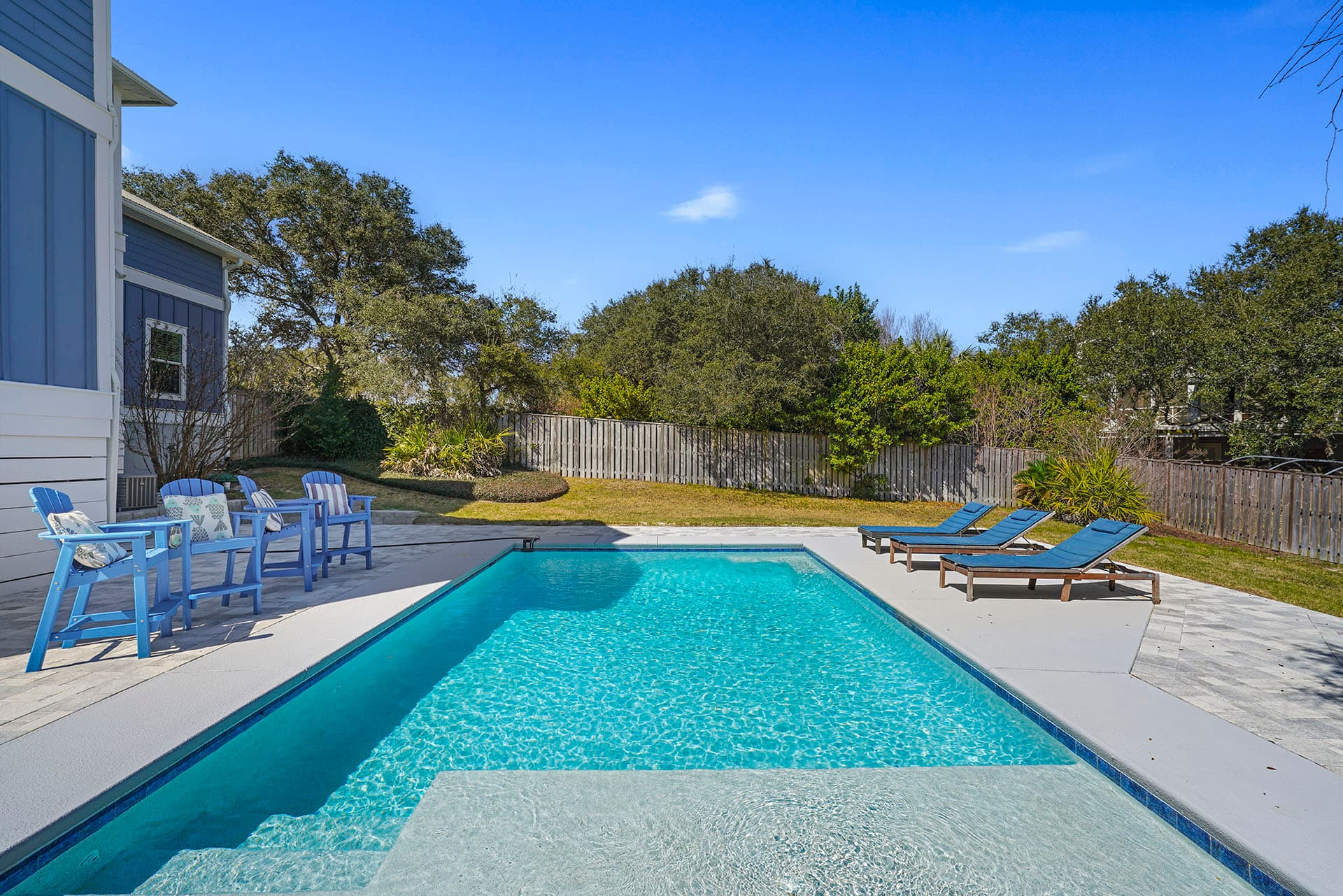 Lizard Palms - Image 28