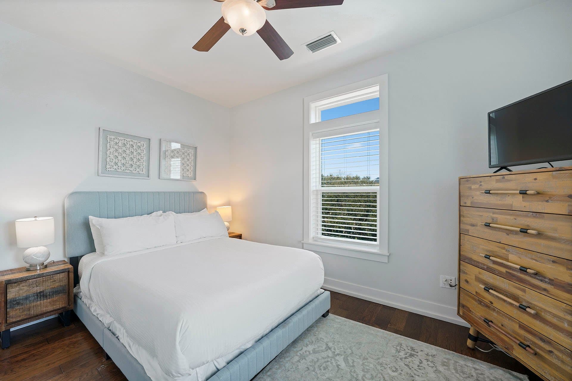 Lizard Palms - Image 17