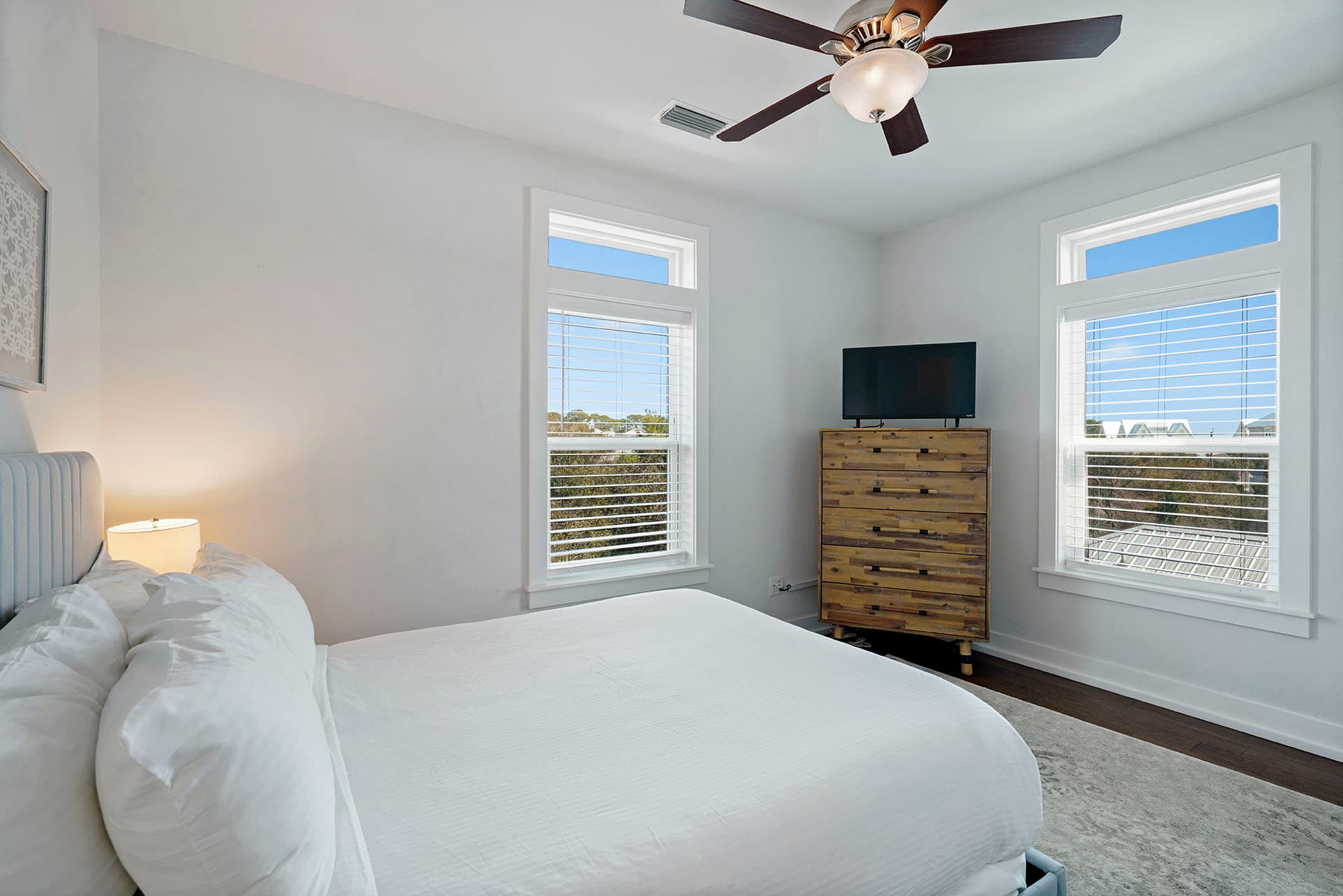 Lizard Palms - Image 18