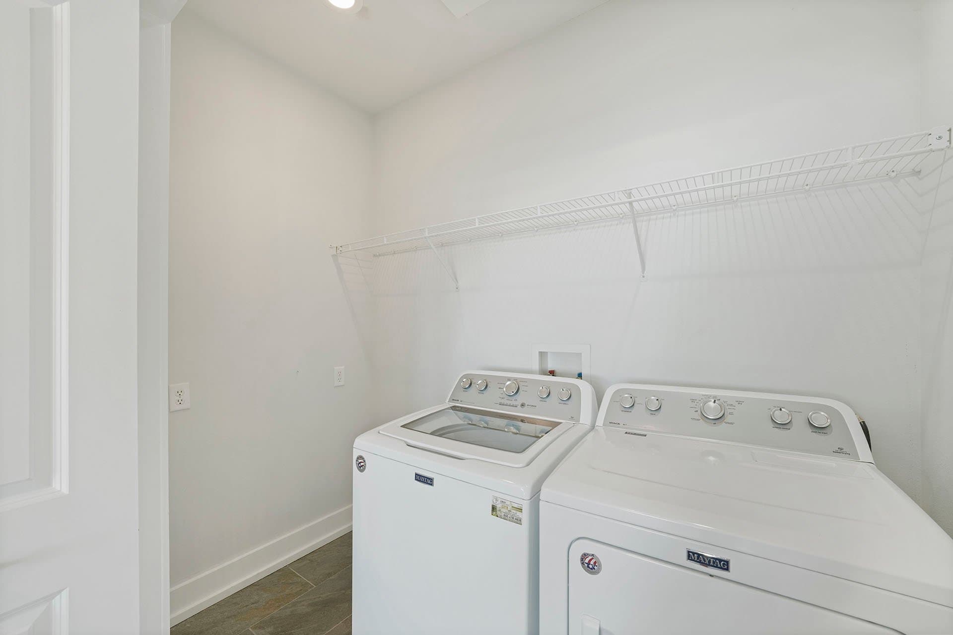 Lizard Palms - Image 25