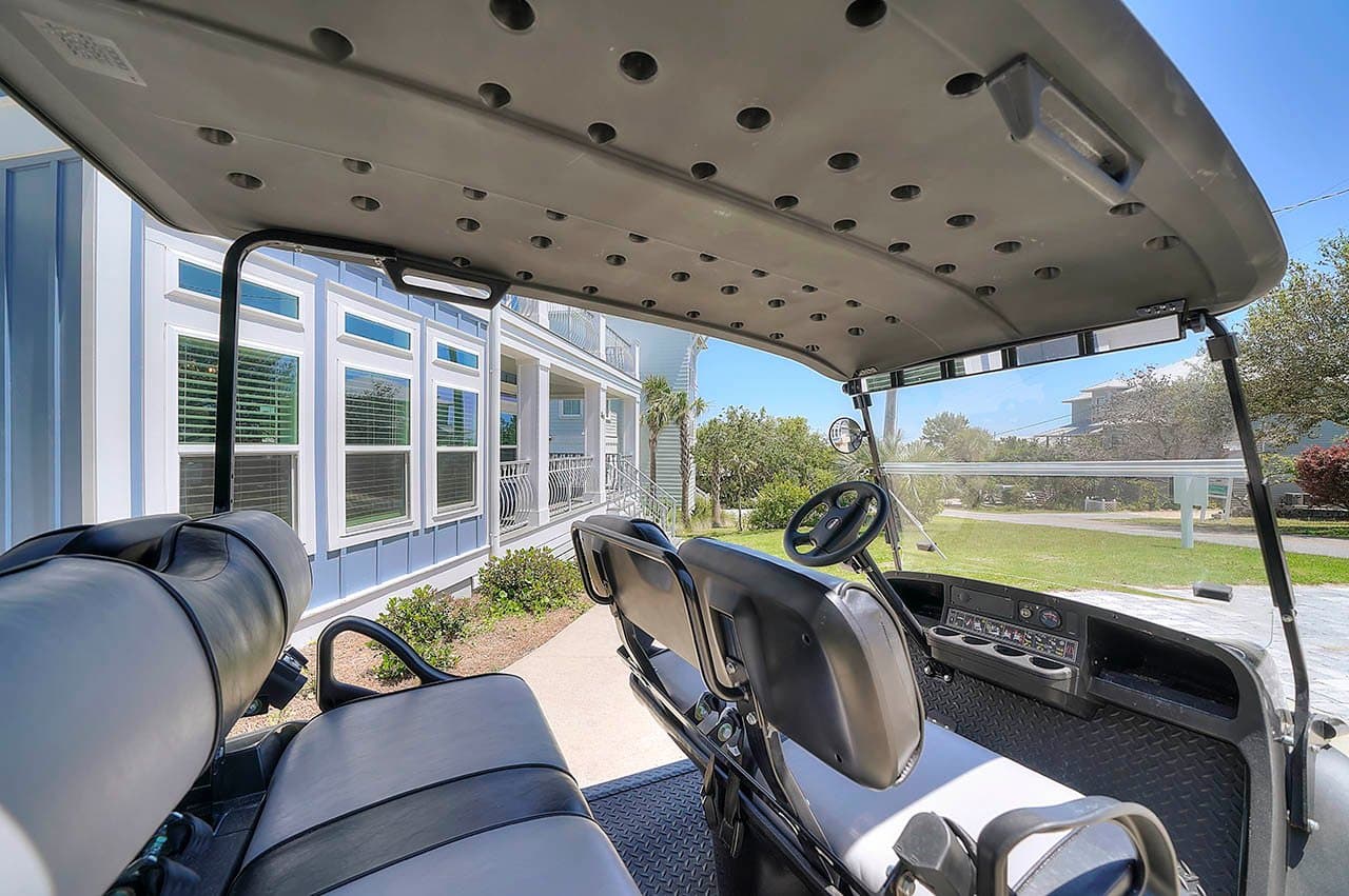 Lizard Palms - Image 32