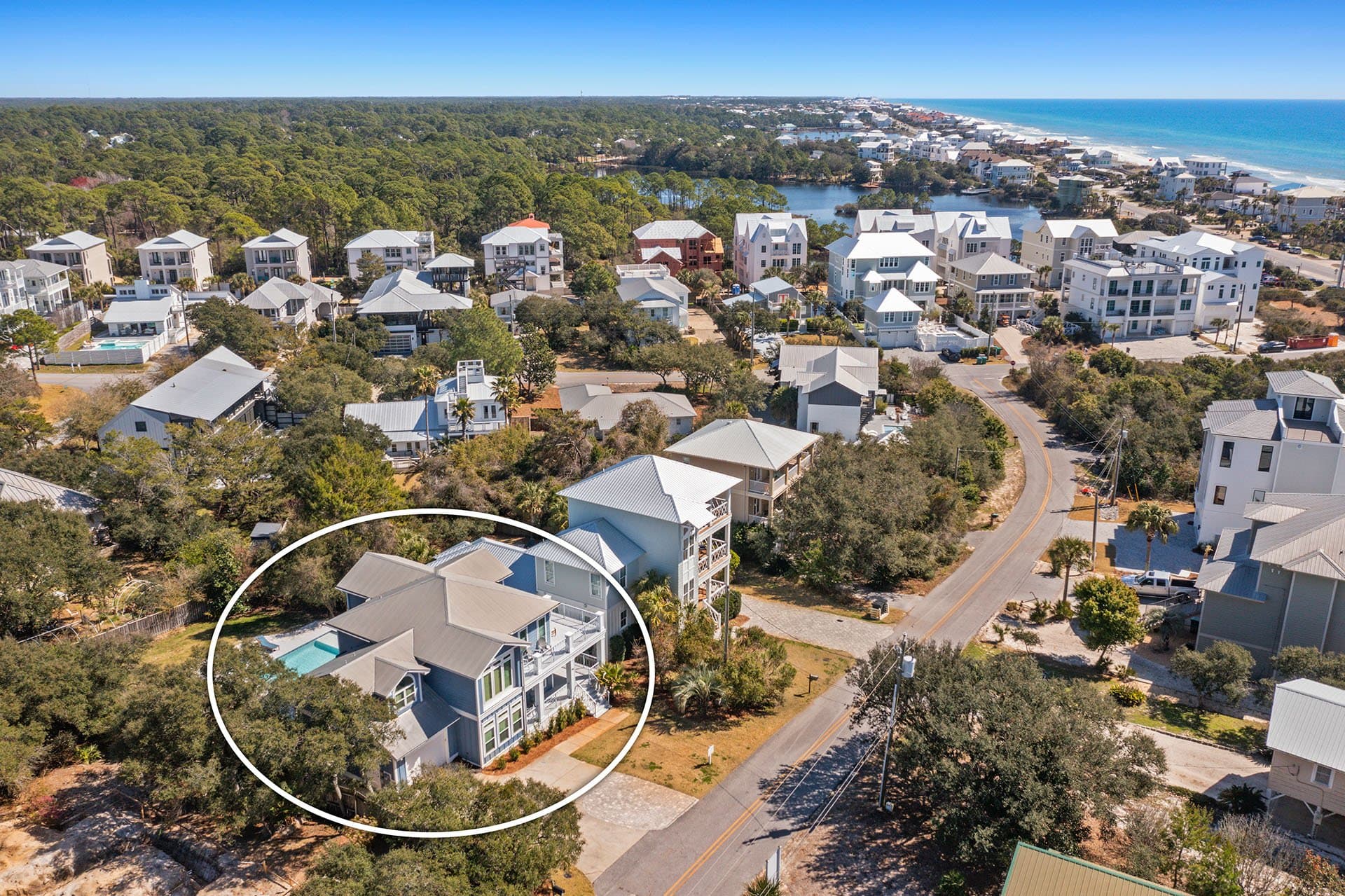 Lizard Palms - Image 37