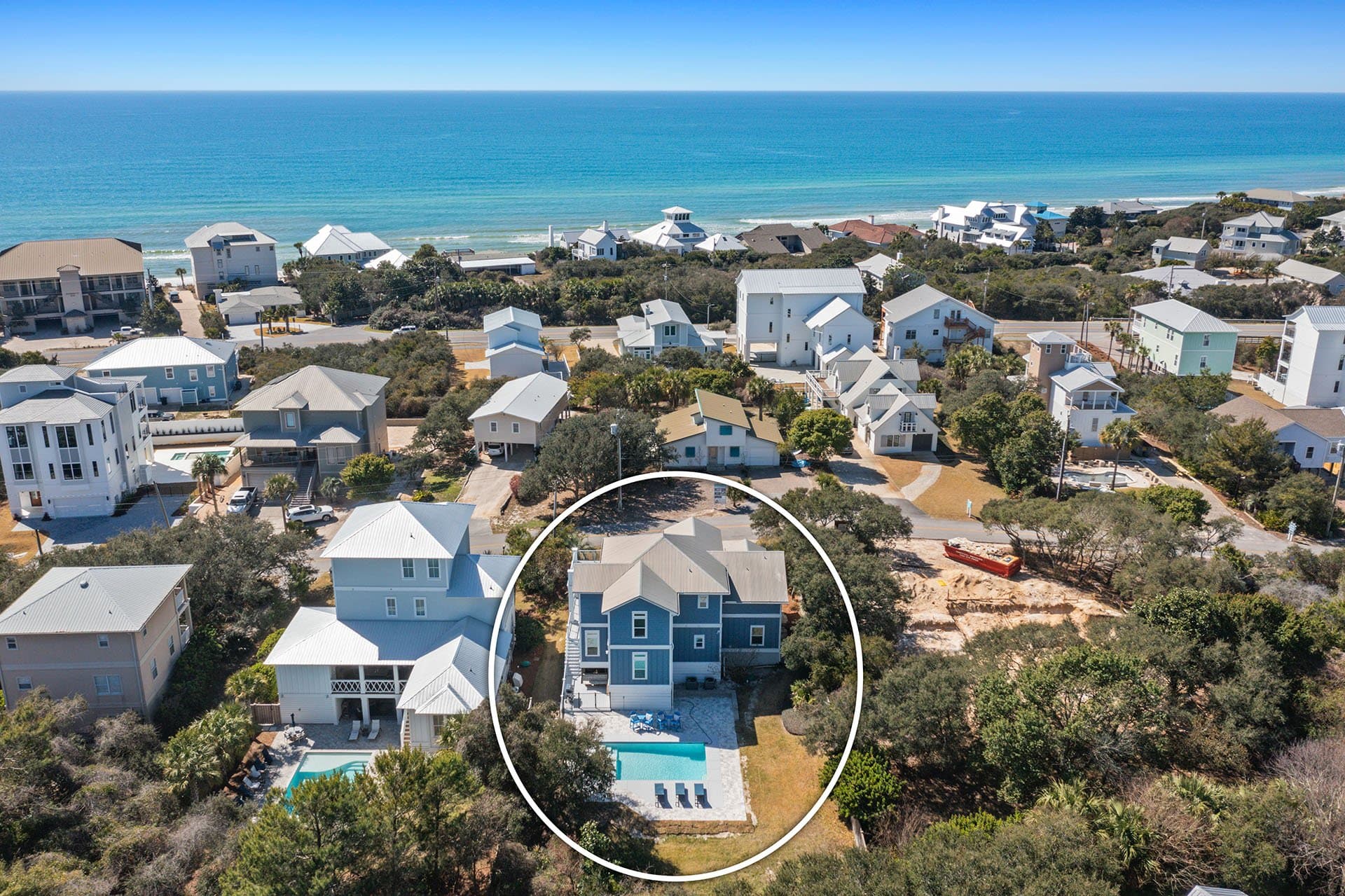 Lizard Palms - Image 39