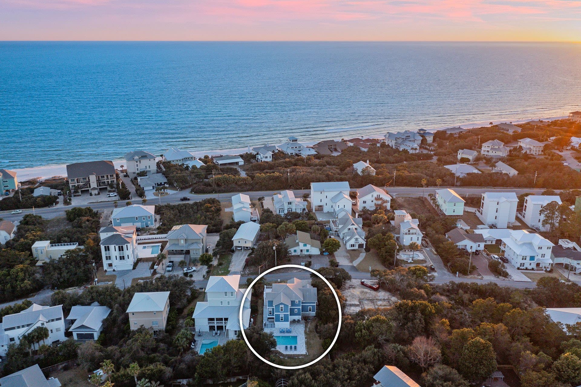 Lizard Palms - Image 3