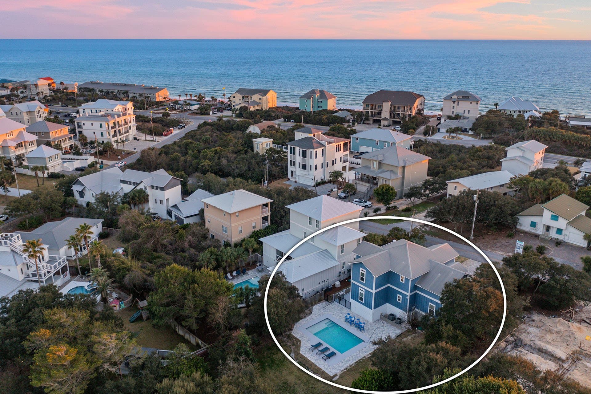 Lizard Palms - Image 40