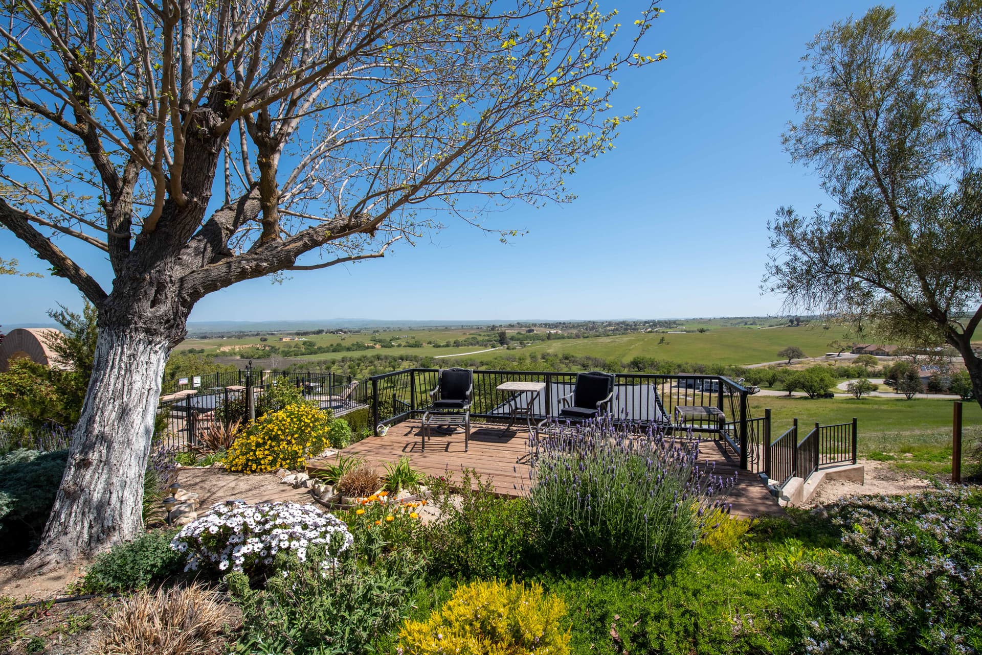 Hidden Acre Vineyard Estate - Image 3