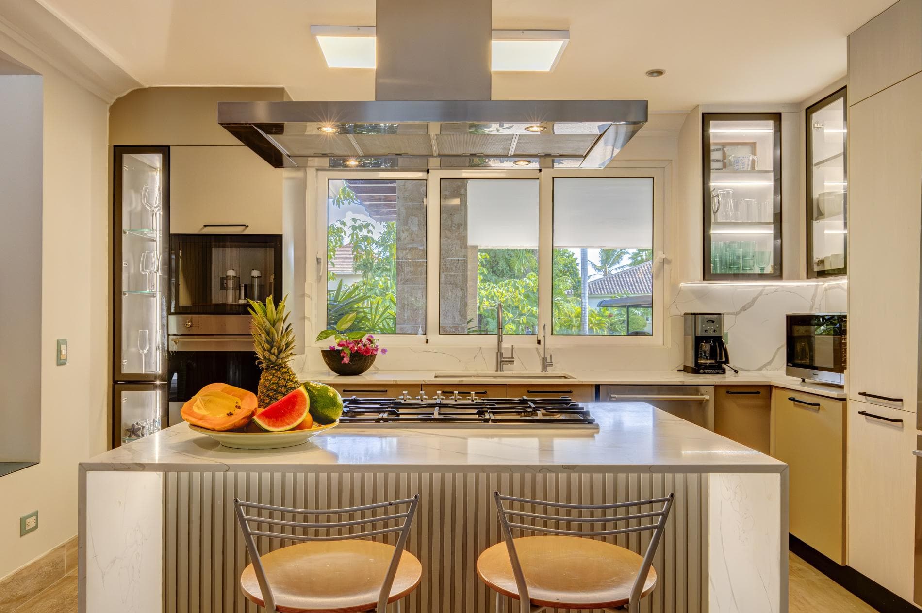 Tortuga #B55 - Image 8