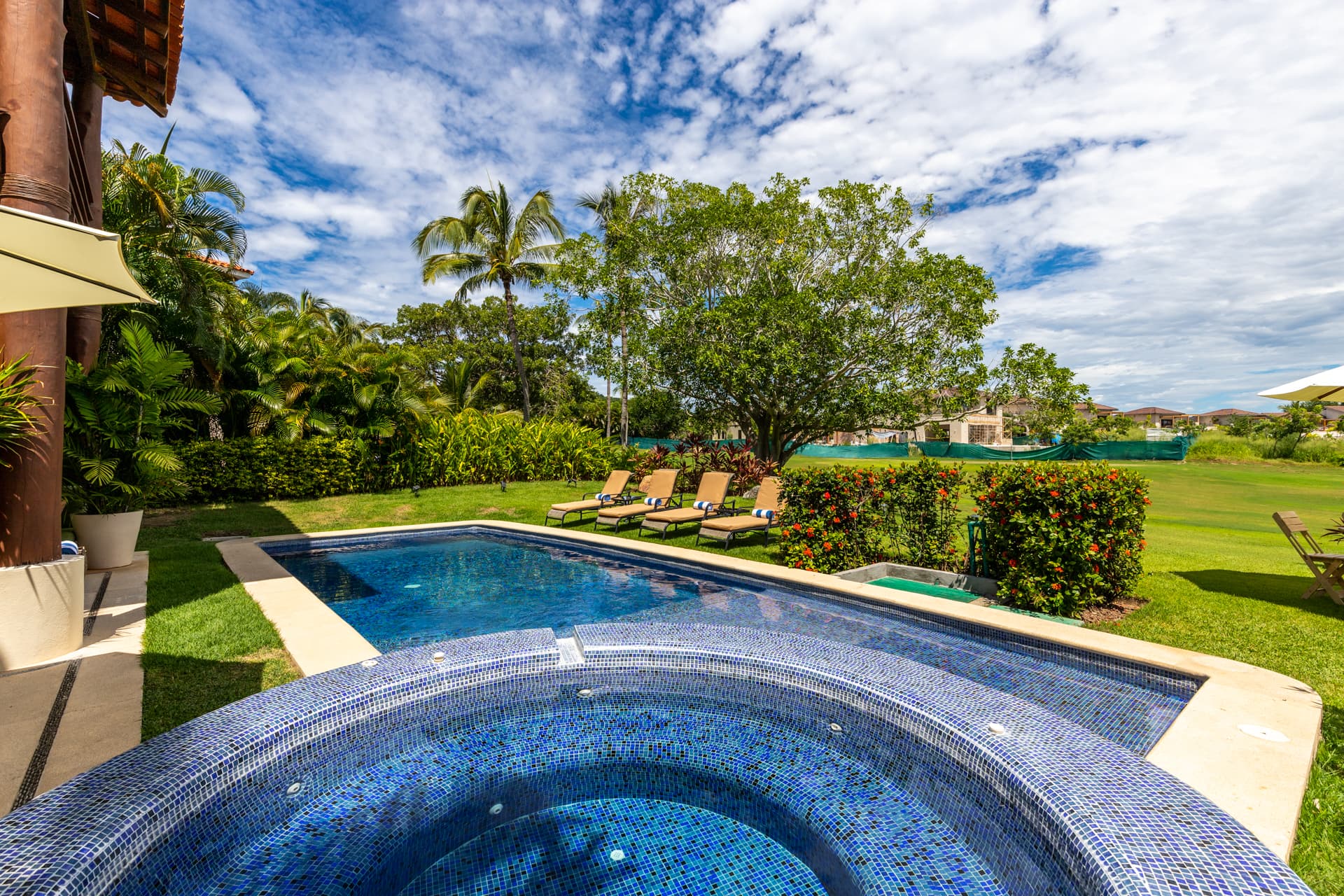 La Serenata #3 - Image 49