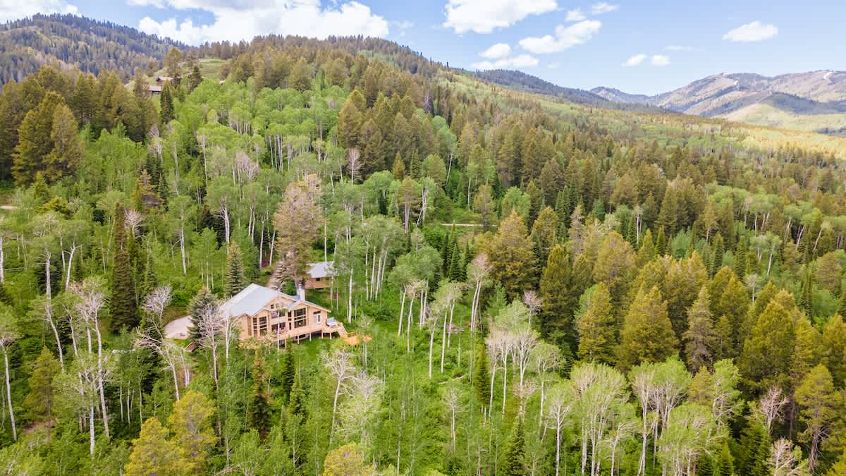 Pine Tree Lodge - Image 3