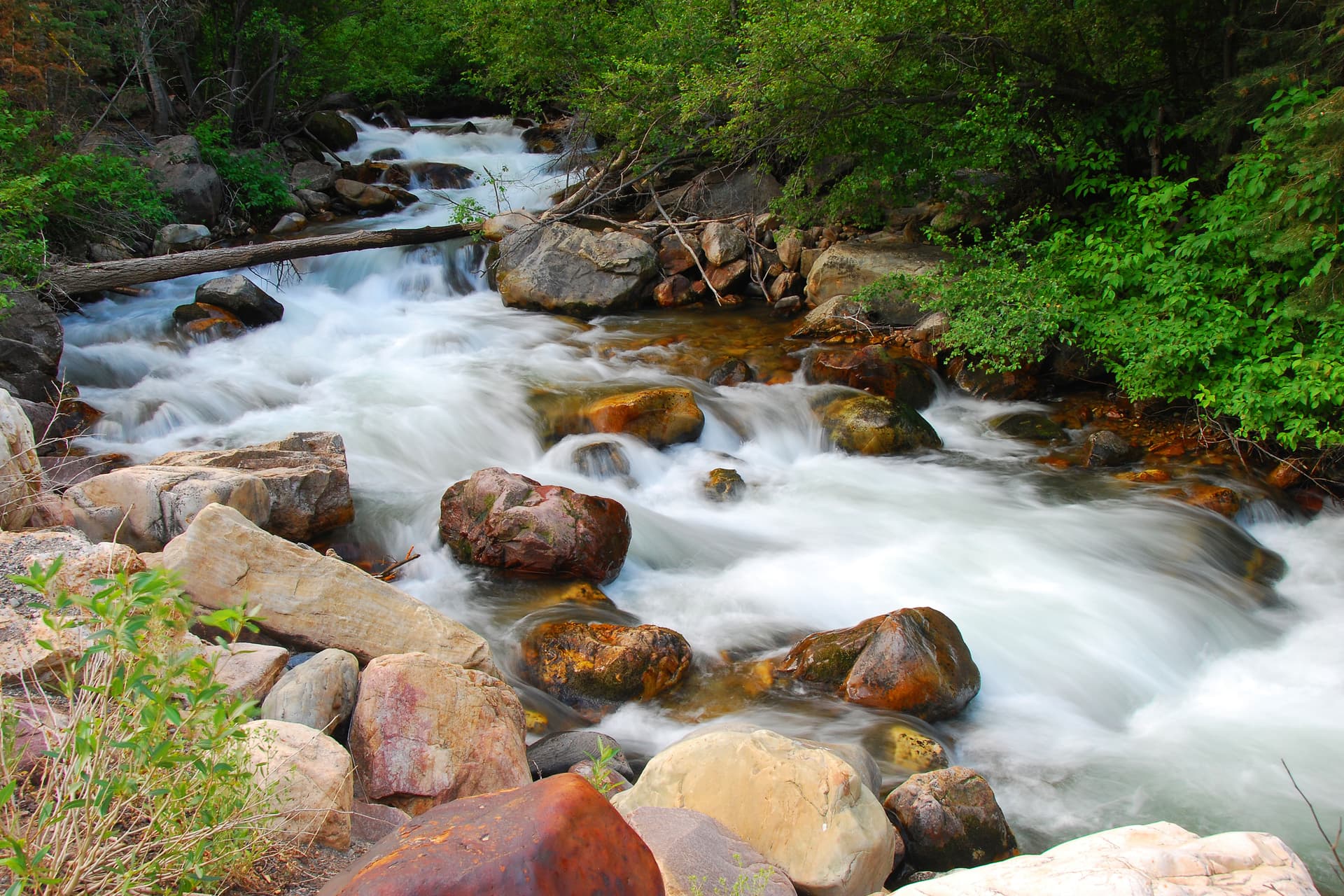 Blackstone Paradise Home - Image 29