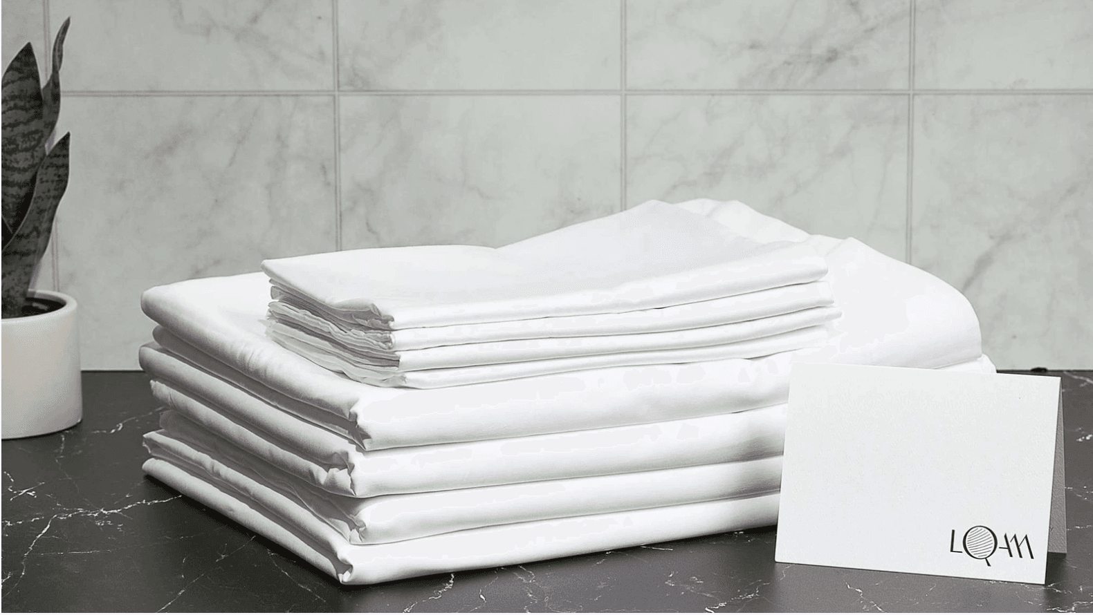 Silver Sun - Image 18