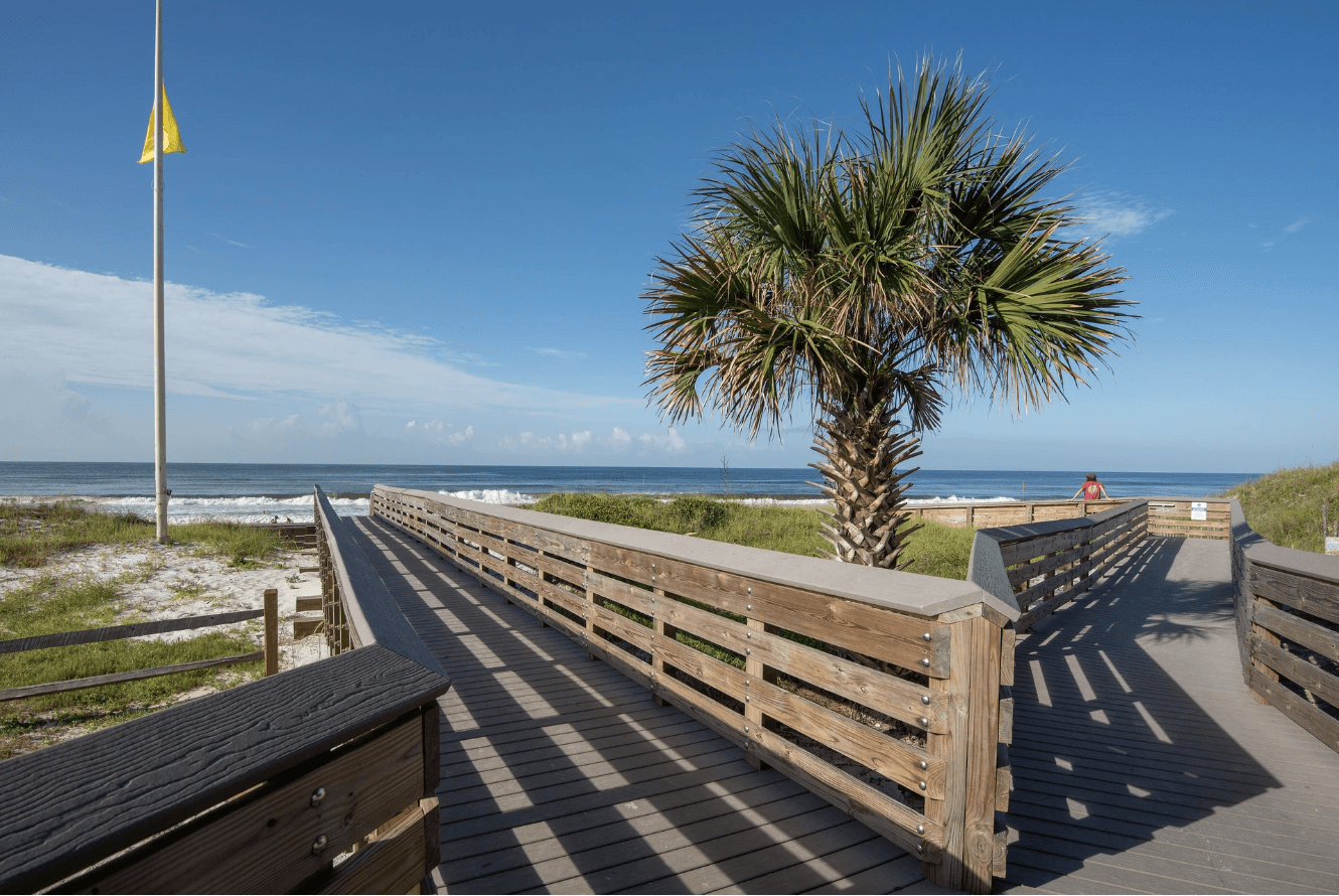 Endless Summer - Image 4