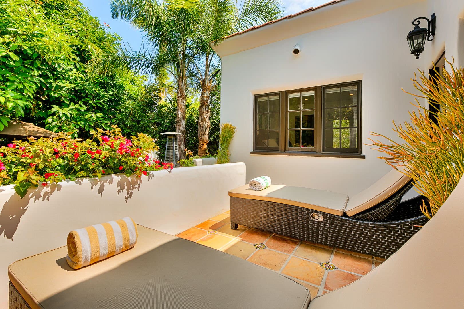 Olive Branch - Image 27