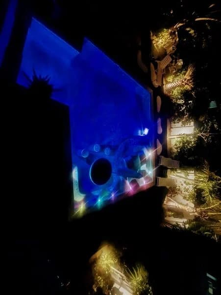 TipSea Turtle - Image 65