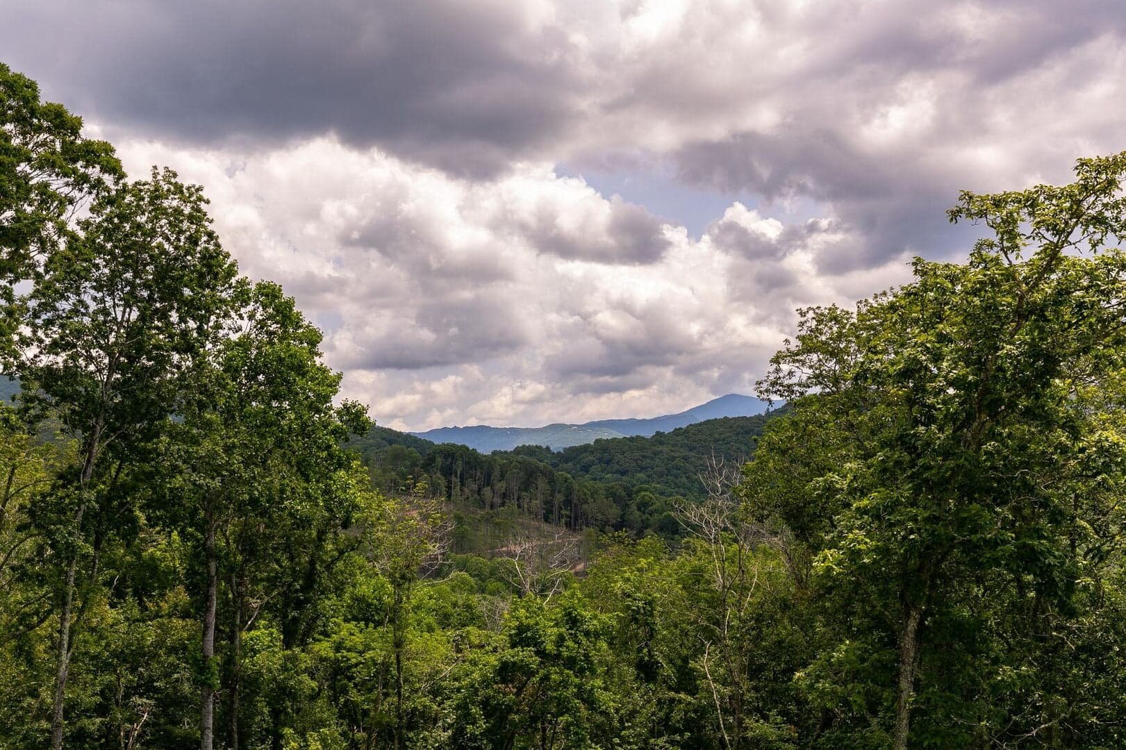 Bearingers Bluff  - Image 55