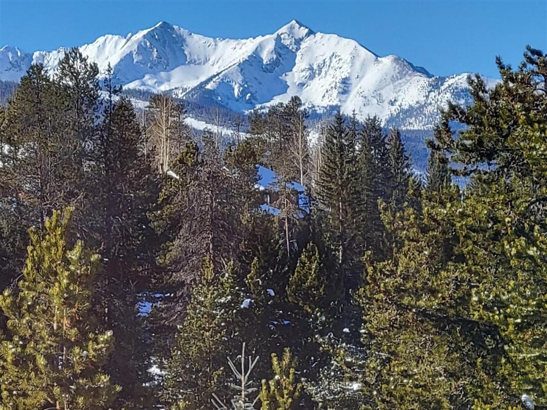 Breezy Meadow - Image 5