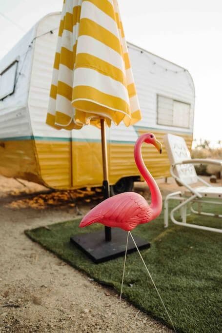 Joshua Tree Vista - Image 4