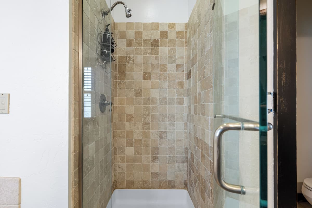 Bear Loop - Image 32