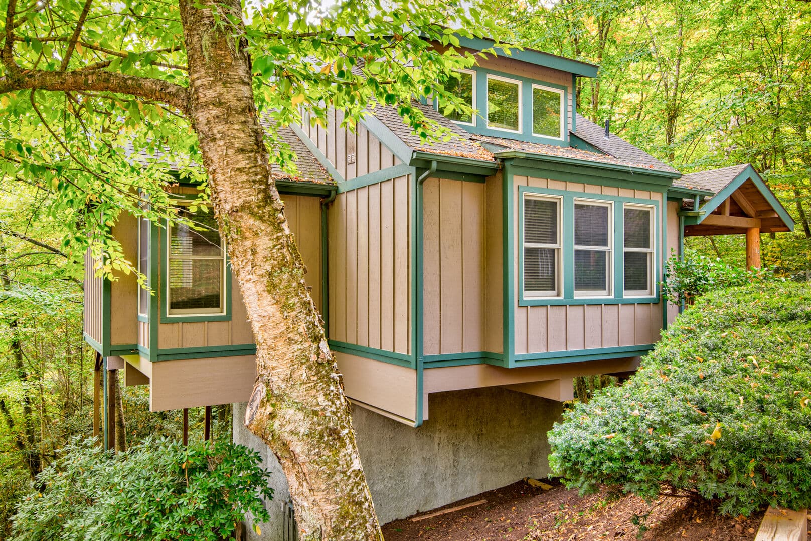 Tree House at Echota - Image 3