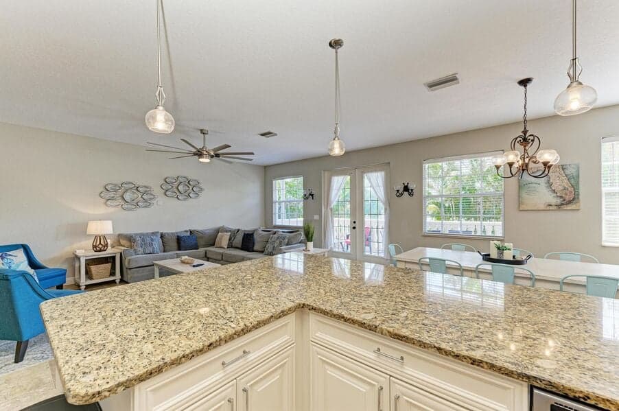 Island Nautilus - Image 4