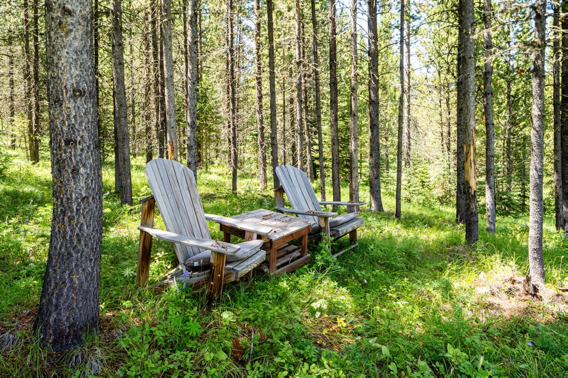 Gray Owl Retreat - Image 47