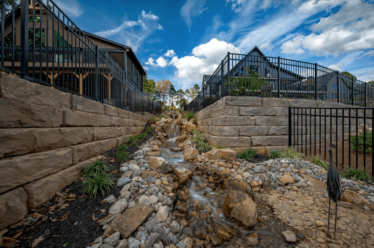 Blue Heron & Gray Fox - Image 6