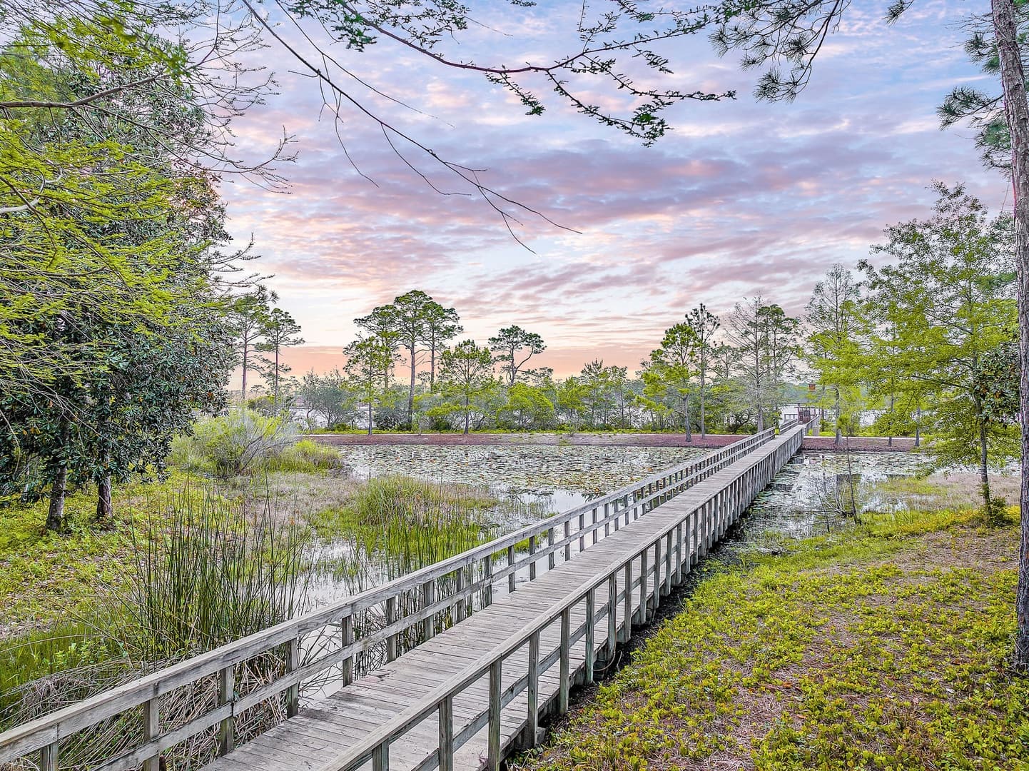 Seabbatical at WaterColor - Image 78