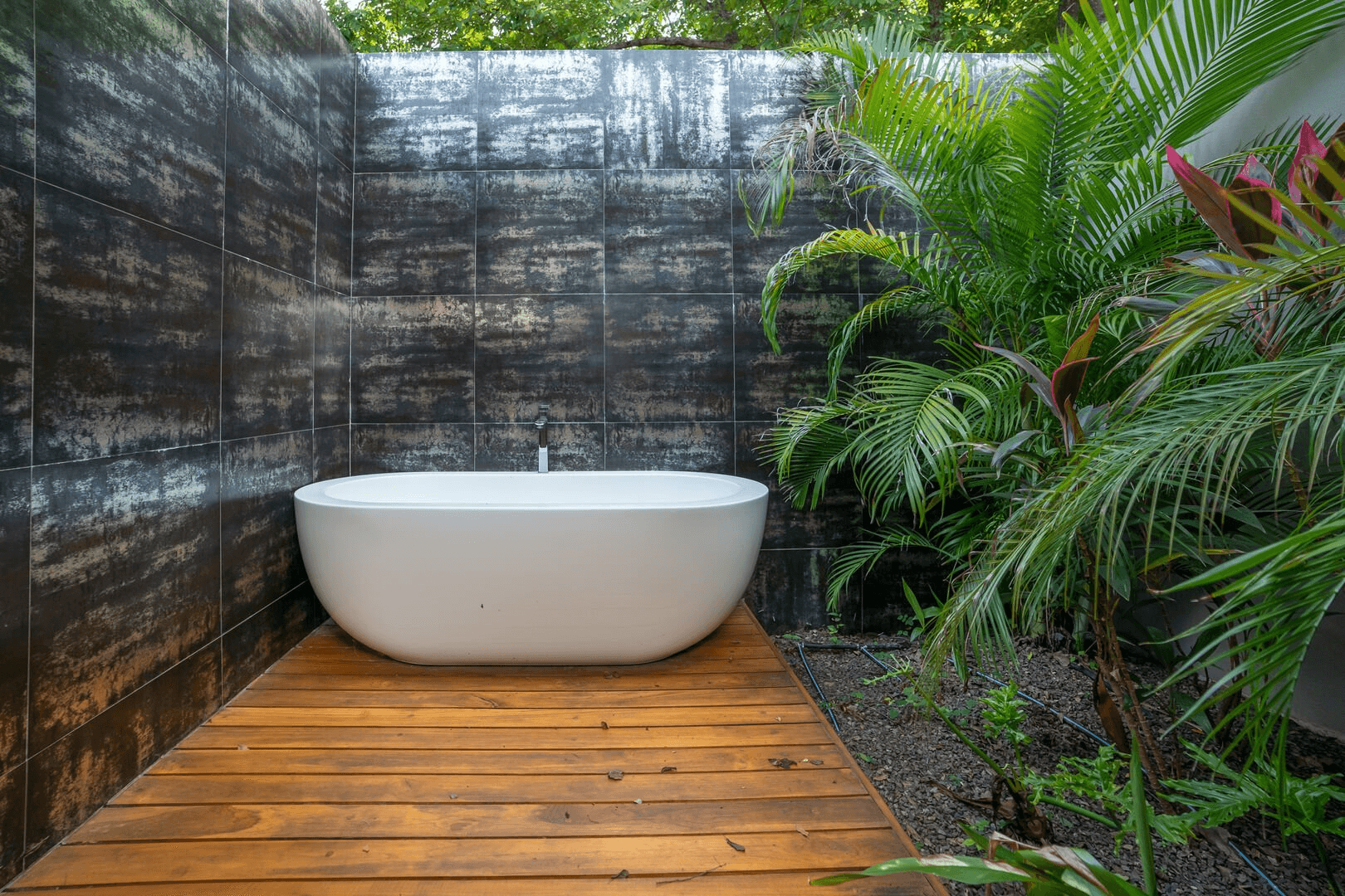 Casa de Los Monos - Image 4