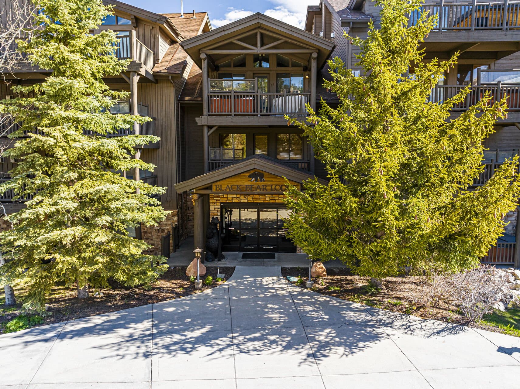 Black Bear #408A - Image 37