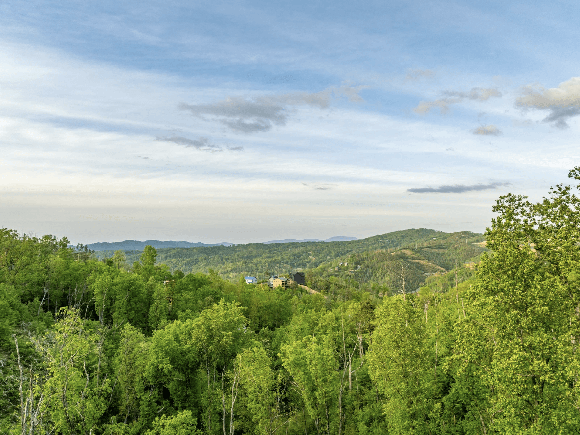 Hollow's Haven - Image 43