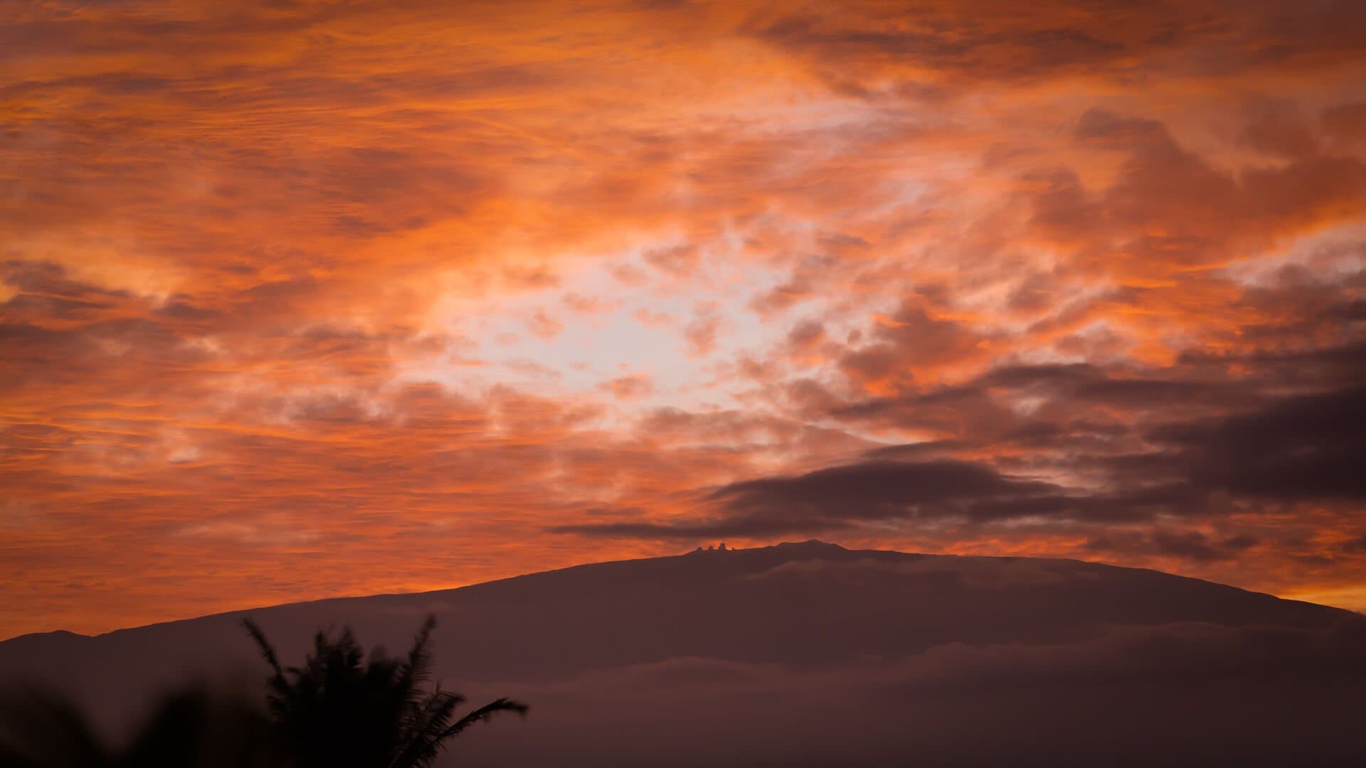 Starry Nights - Image 48