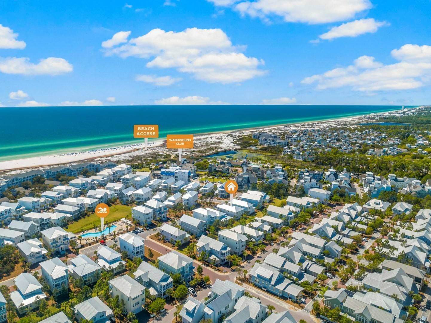 Palm Tree Paradise - Image 56