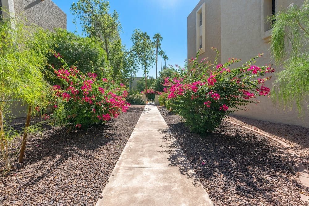 Maya Motel - Image 60