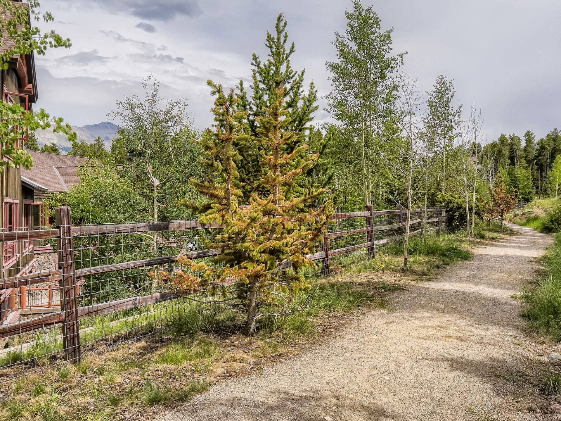 Saddlewood Ski Chalet - Image 37