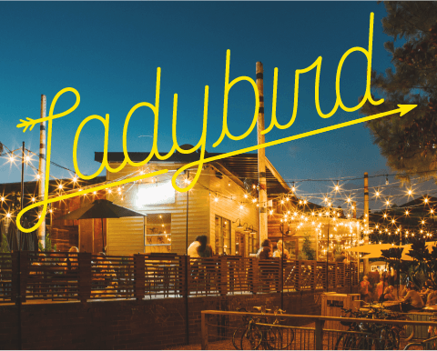 Mink Studio - Image 18