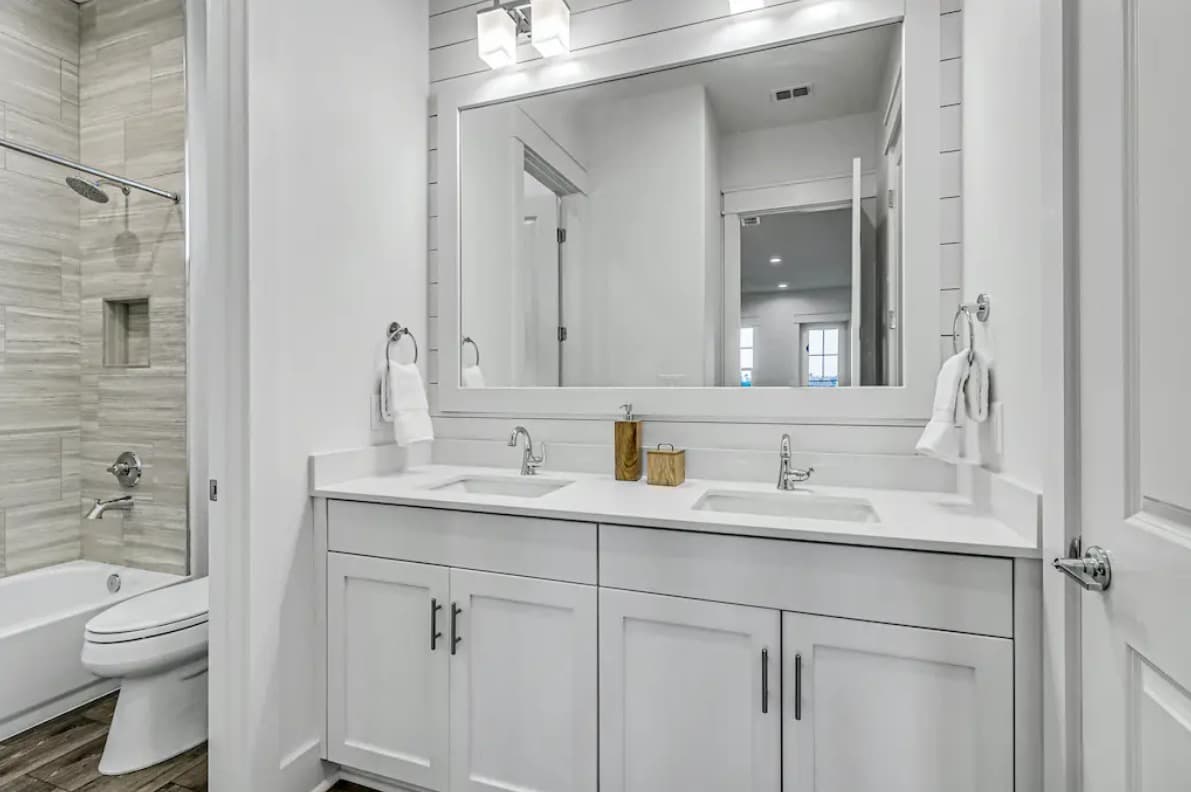 Spanish Dagger Serenity - Image 14