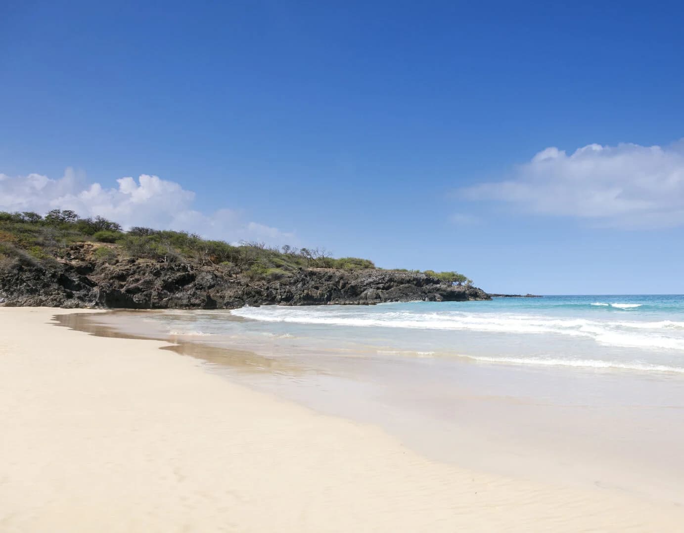 Summer Breeze - Image 31