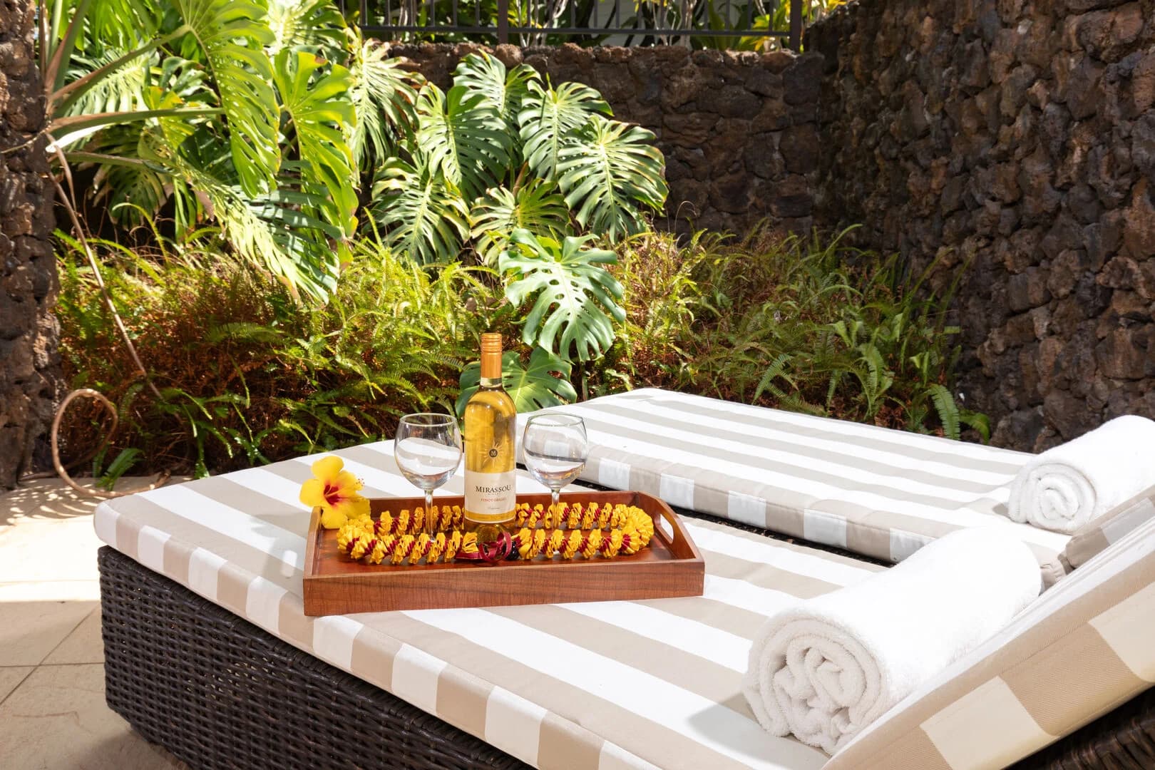 Pineapple Hale - Image 36