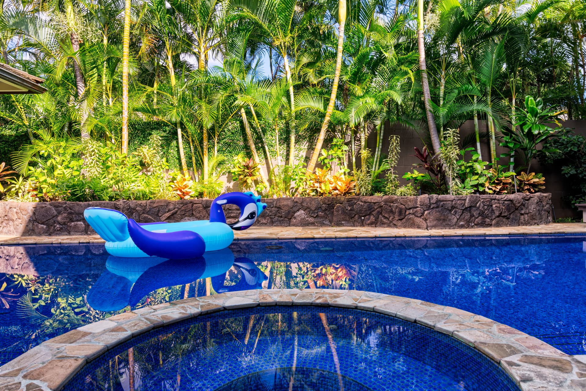 Moana Lani - Image 33