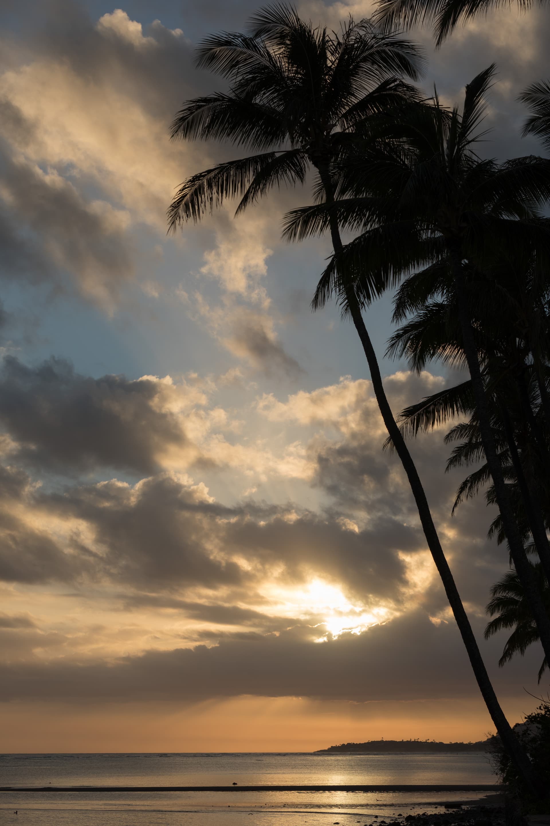 Moana Lani - Image 36