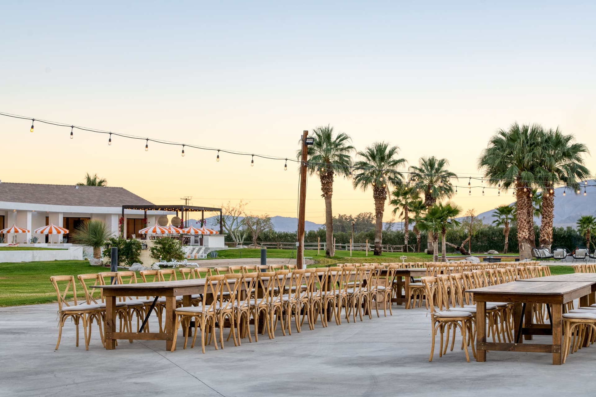 Buena Vista - Image 45