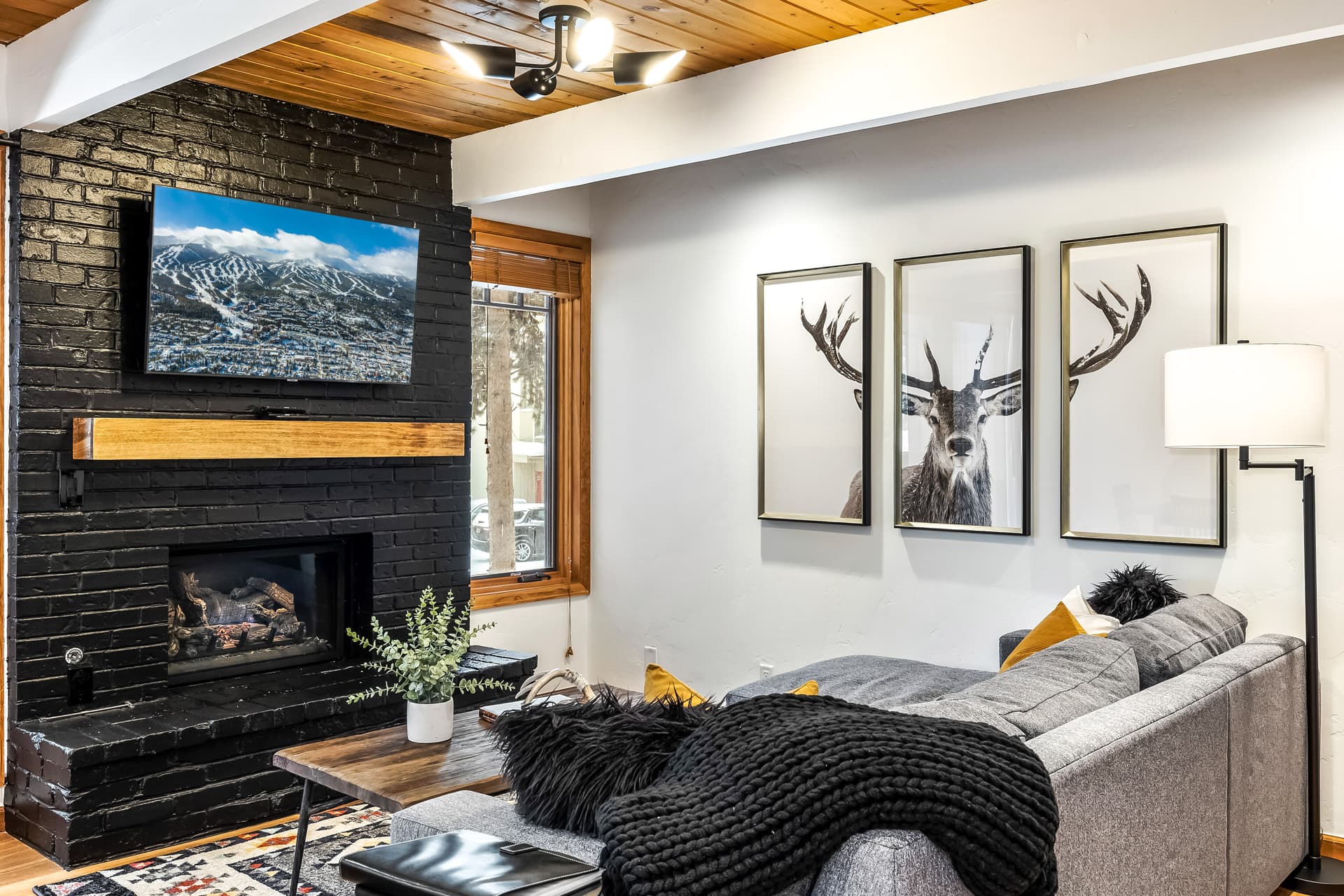 MotherLode A5 - Image 7