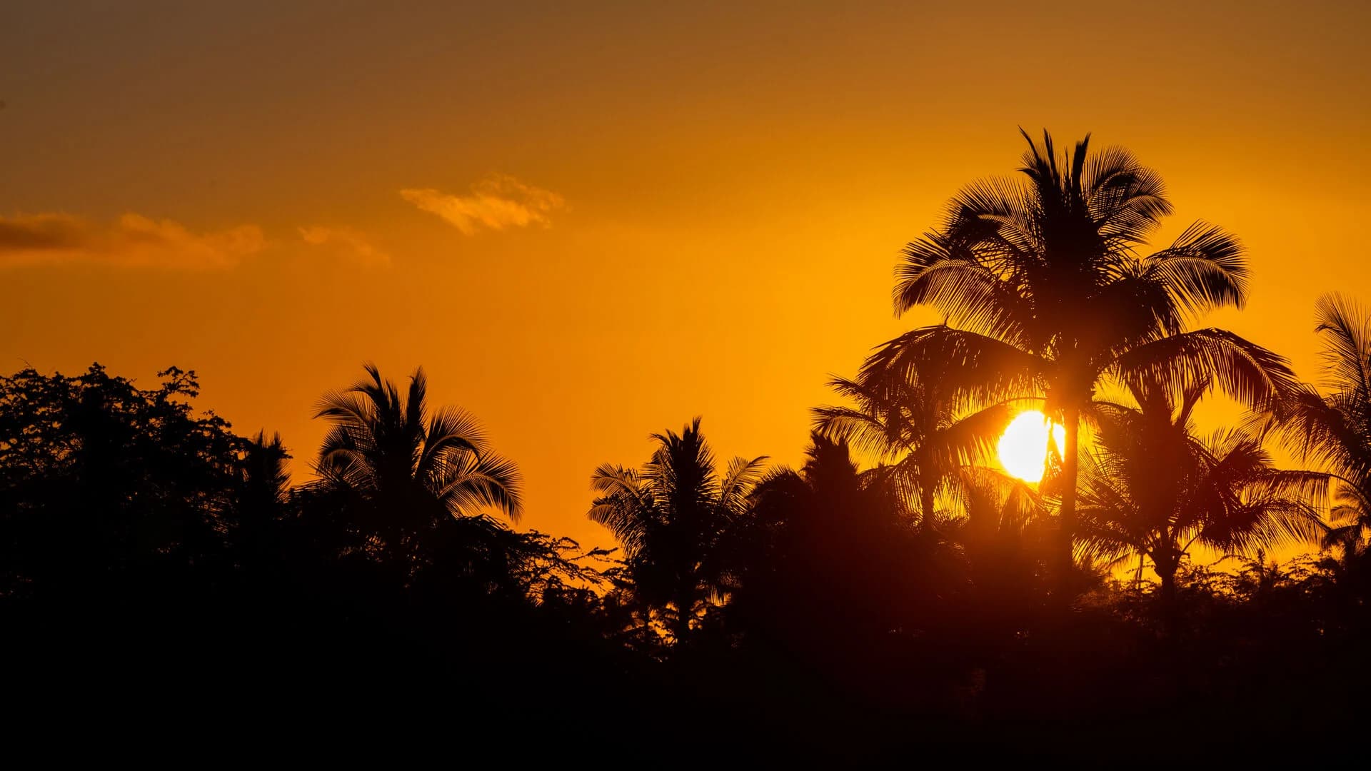 Kalmilo Ohana - Image 47