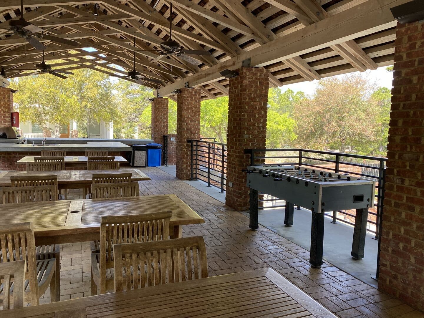 Longleaf Pines - Image 36