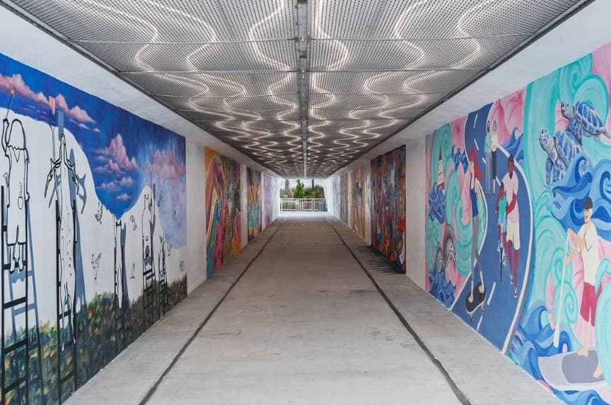 Coastal Canopy - Image 67