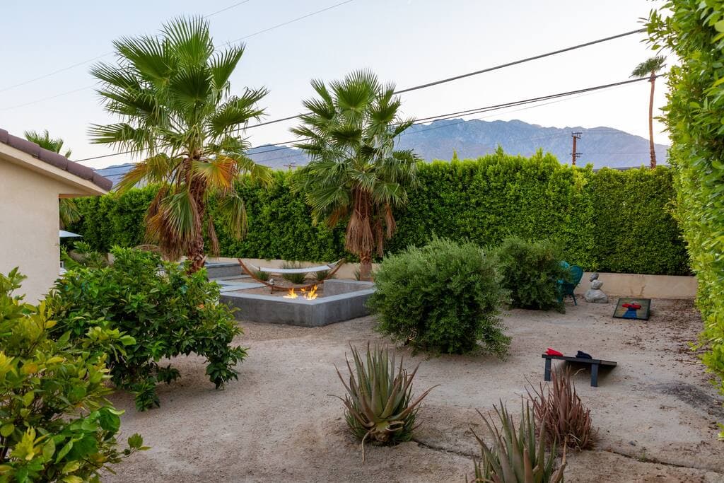 Lux Palmas - Image 21